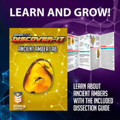 Dissect It Discover-It safety-focused tools ensure odor-free kid-friendly exploration.