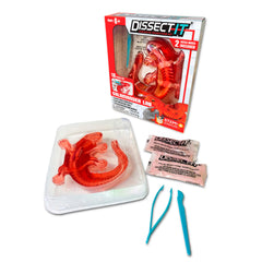 Dissect-It Salamander kit front view for hands-on learning and safety