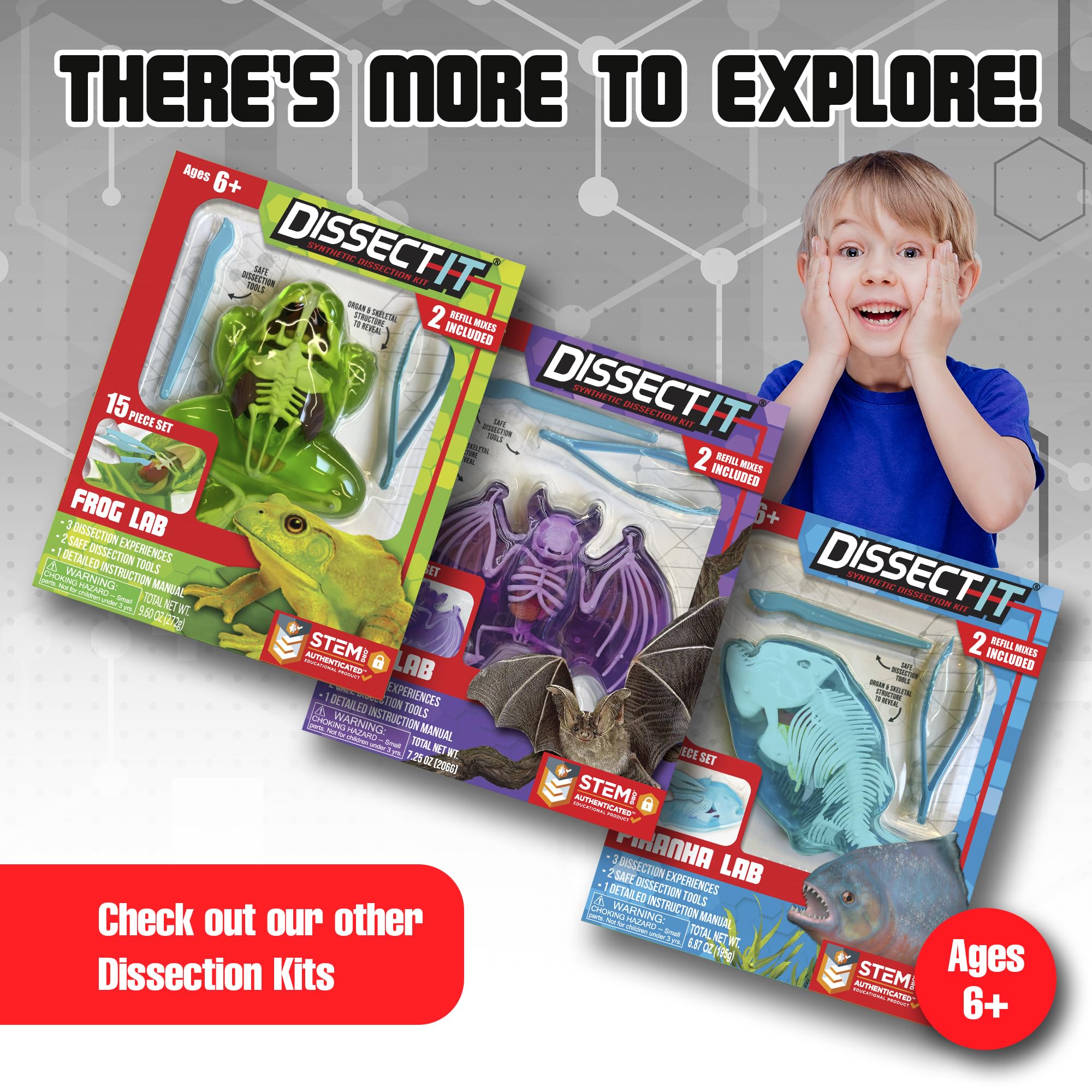 Dissect-It plastic tools for safe carving and exploration