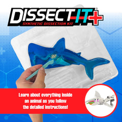 Dissect-It lifelike shark organs for safe anatomy exploration