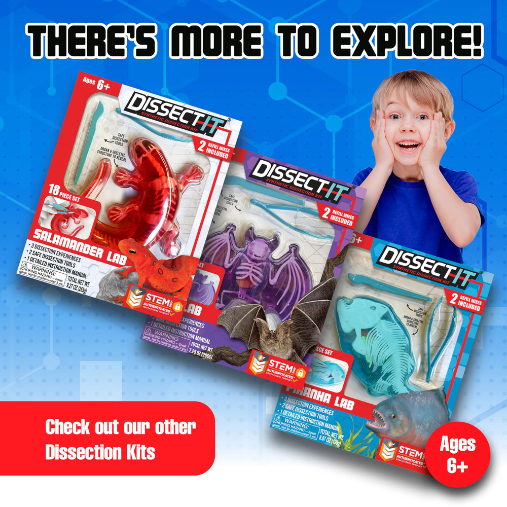 Dissect-It mystery skeleton reveal adds a collectible surprise