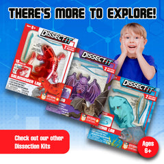 Dissect-It mystery skeleton reveal adds a collectible surprise