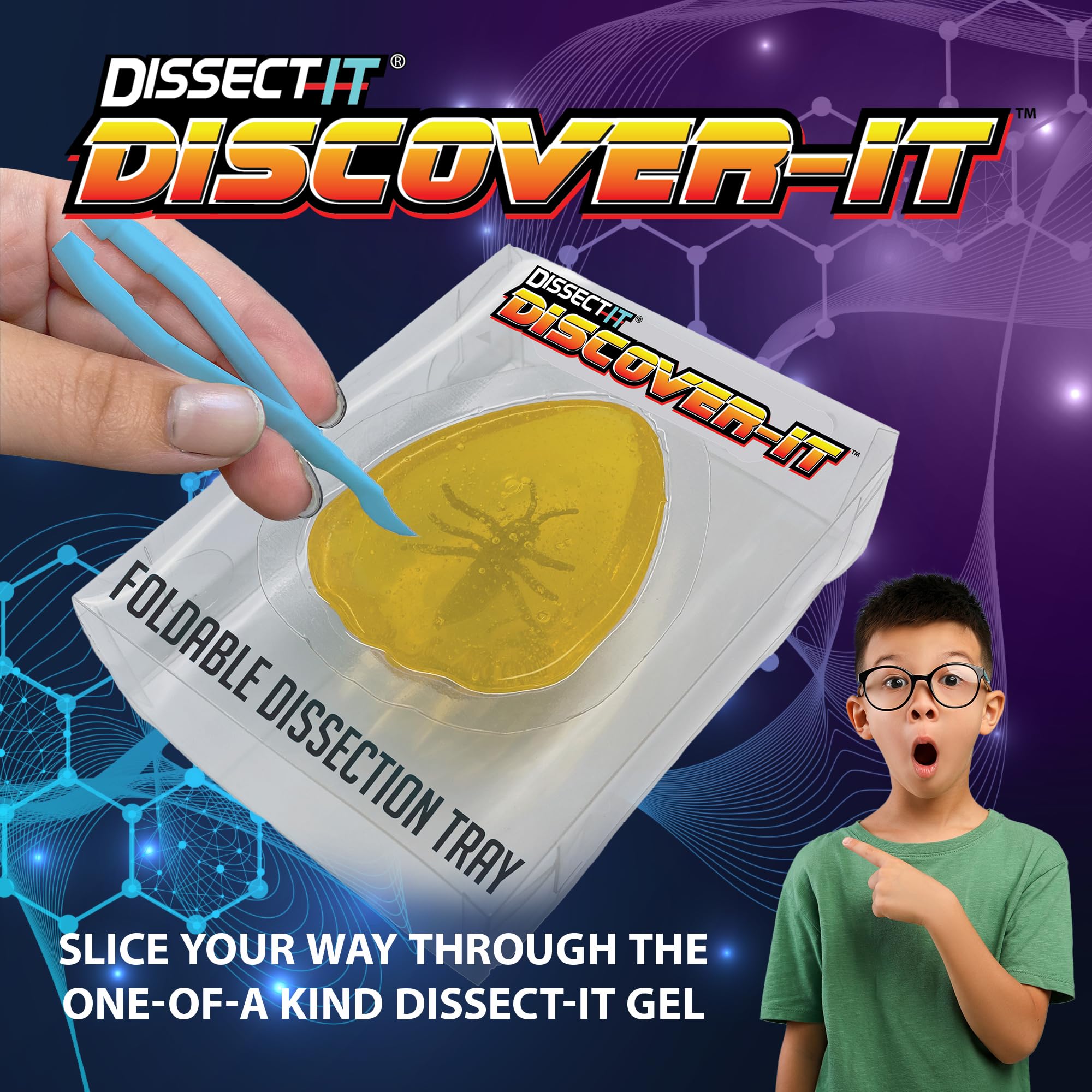 Dissect It Discover-It synthetic amber gel reveals an insect toy for safe exploration.