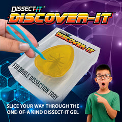 Dissect It Discover-It synthetic amber gel reveals an insect toy for safe exploration.