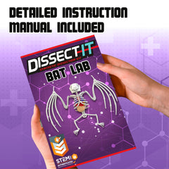 Dissect-It synthetic material close-up shows a safe learning surface
