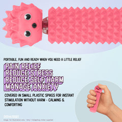 Hedgy spikes surface provides sensory input during study
