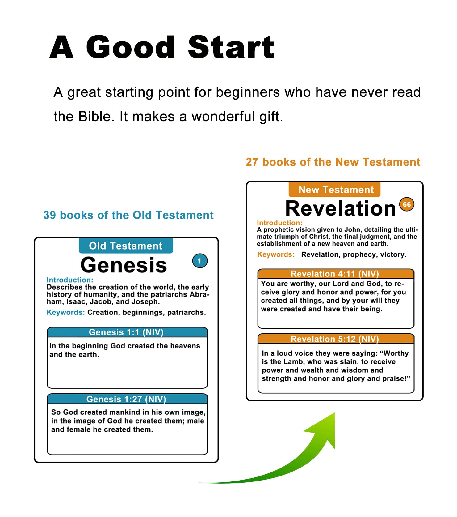 Docdeer Bible66 Books Flash Cards large print easy to read format for beginners