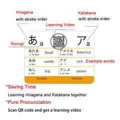 Docdeer flashcards provide 46 pronunciation videos for accurate sounds.