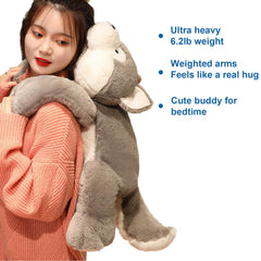 Doireum weighted dinosaur plush 50cm, display-friendly for kids