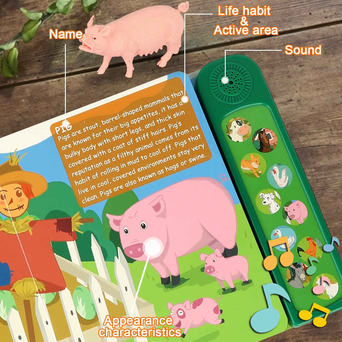 DOMNIU pig figure with vivid colors enhances naming accuracy and interactive pretend farming.