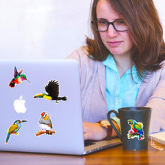 DothRayan birds stickers non-toxic vinyl for safe, long-lasting decor.