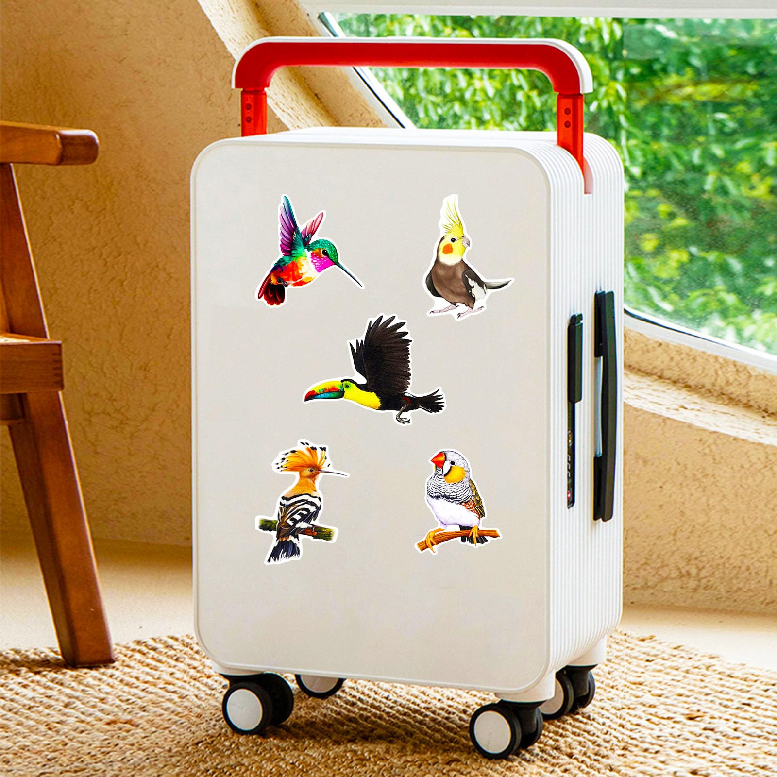 DothRayan birds stickers ideal gift for kids and teens.