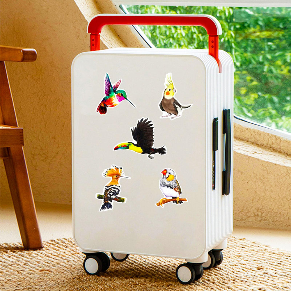 DothRayan birds stickers ideal gift for kids and teens.