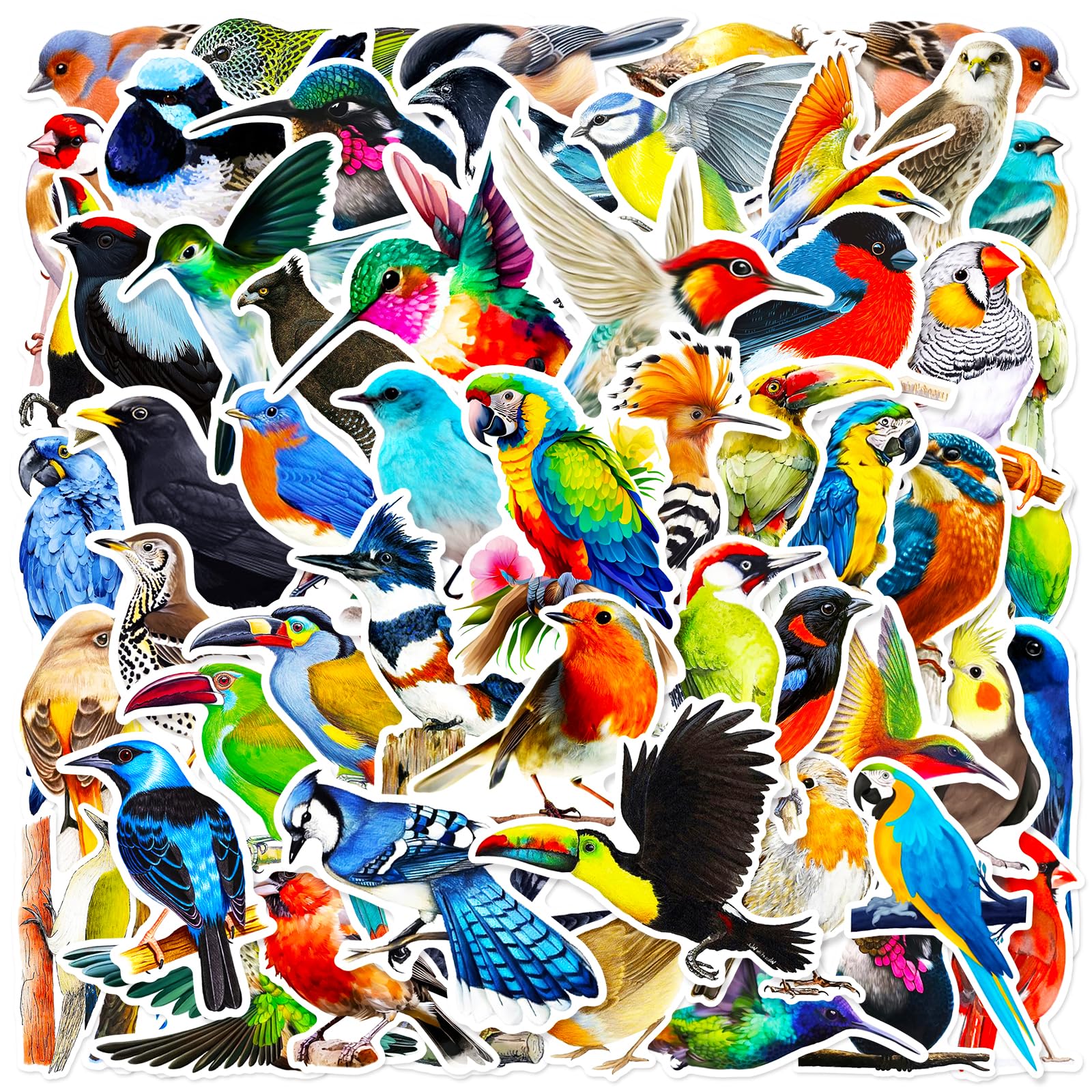 DothRayan birds stickers waterproof vinyl for laptops and water bottles.