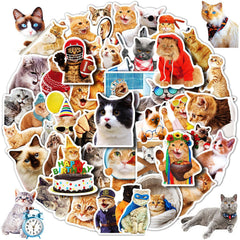 DothRayan cat stickers collection on a laptop for playful personalization