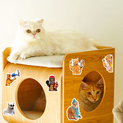 DothRayan cat stickers for classroom rewards and DIY projects