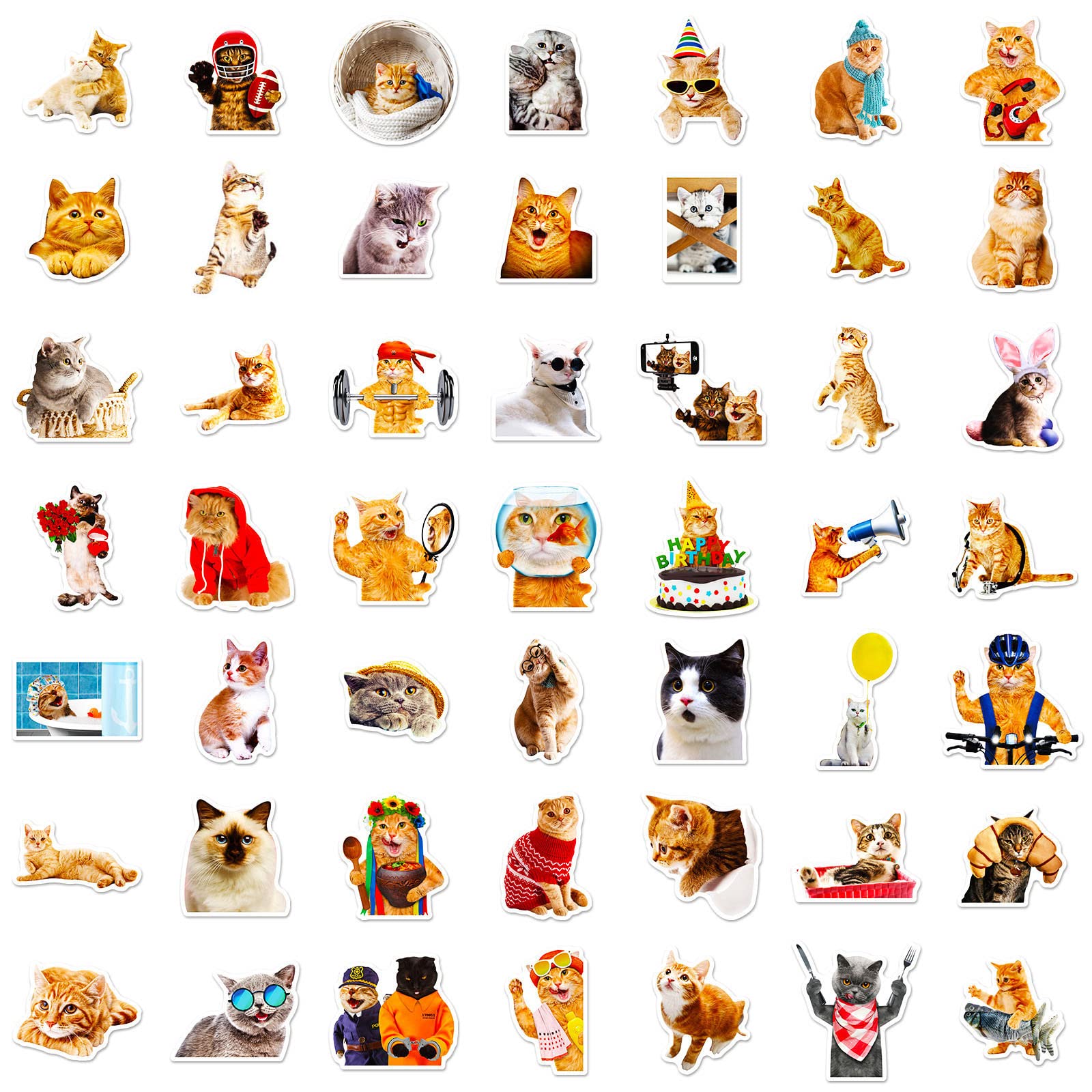 DothRayan cat stickers on water bottle stay colorful and waterproof