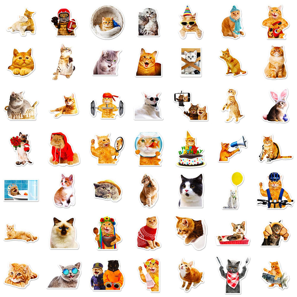 DothRayan cat stickers on water bottle stay colorful and waterproof
