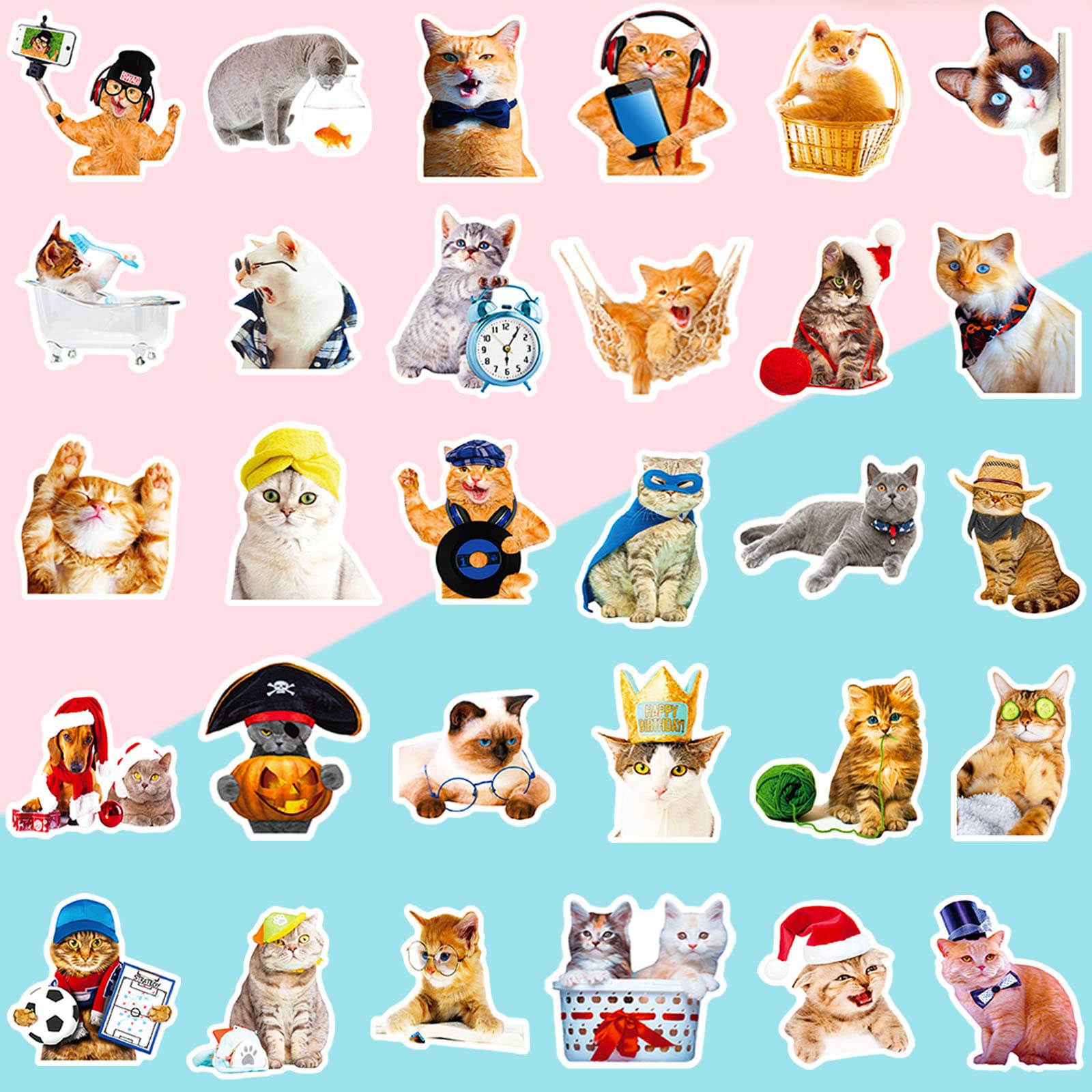 DothRayan cat stickers' waterproof vinyl withstands sun exposure