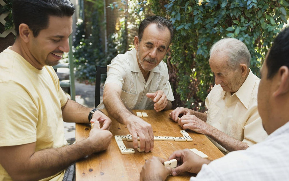 Doublefan dominoes two-player setup for quick rounds and social play.