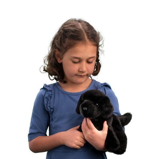 Douglas Bear Black Lab plush face close-up highlighting expressive eyes