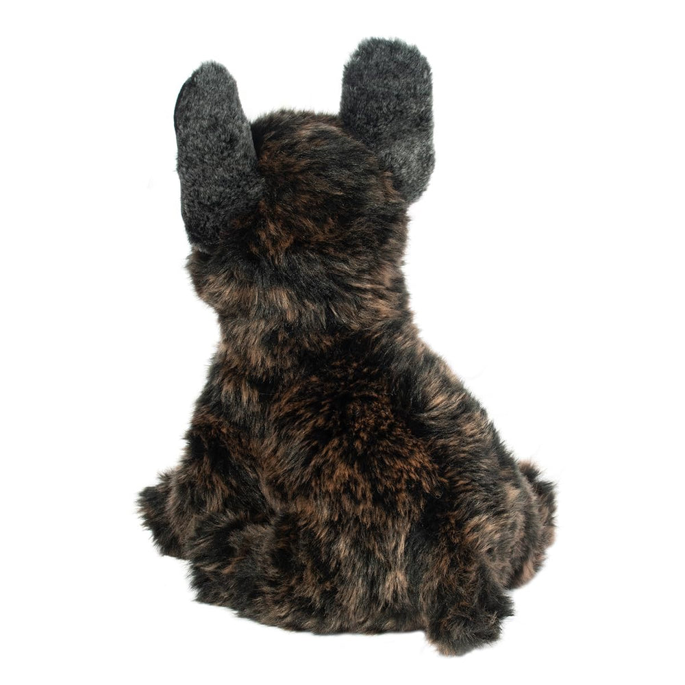 Soft nose and amber eyes invite gentle interaction and comfort