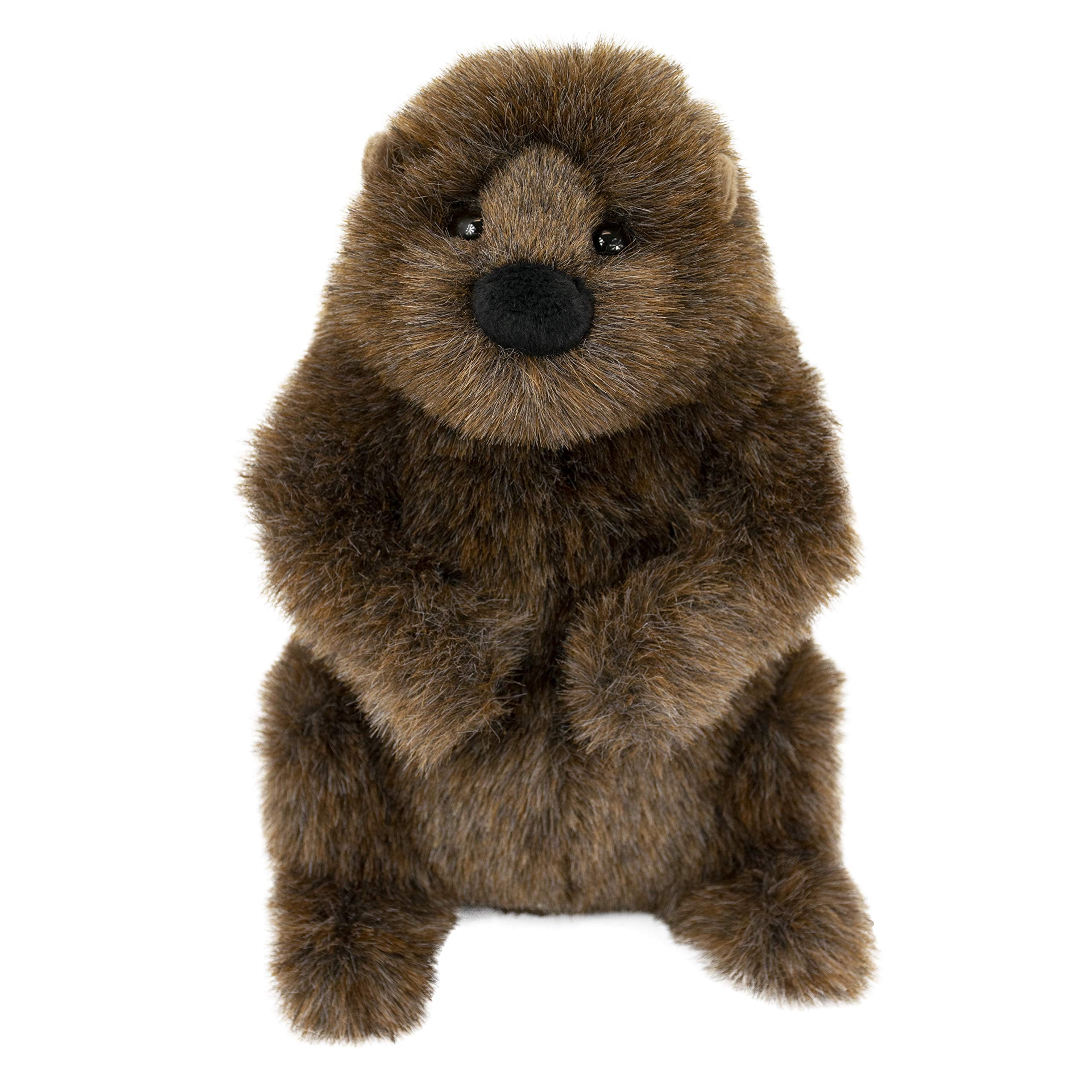 Douglas Chuckwood Groundhog plush in seated pose, perfect for storytelling