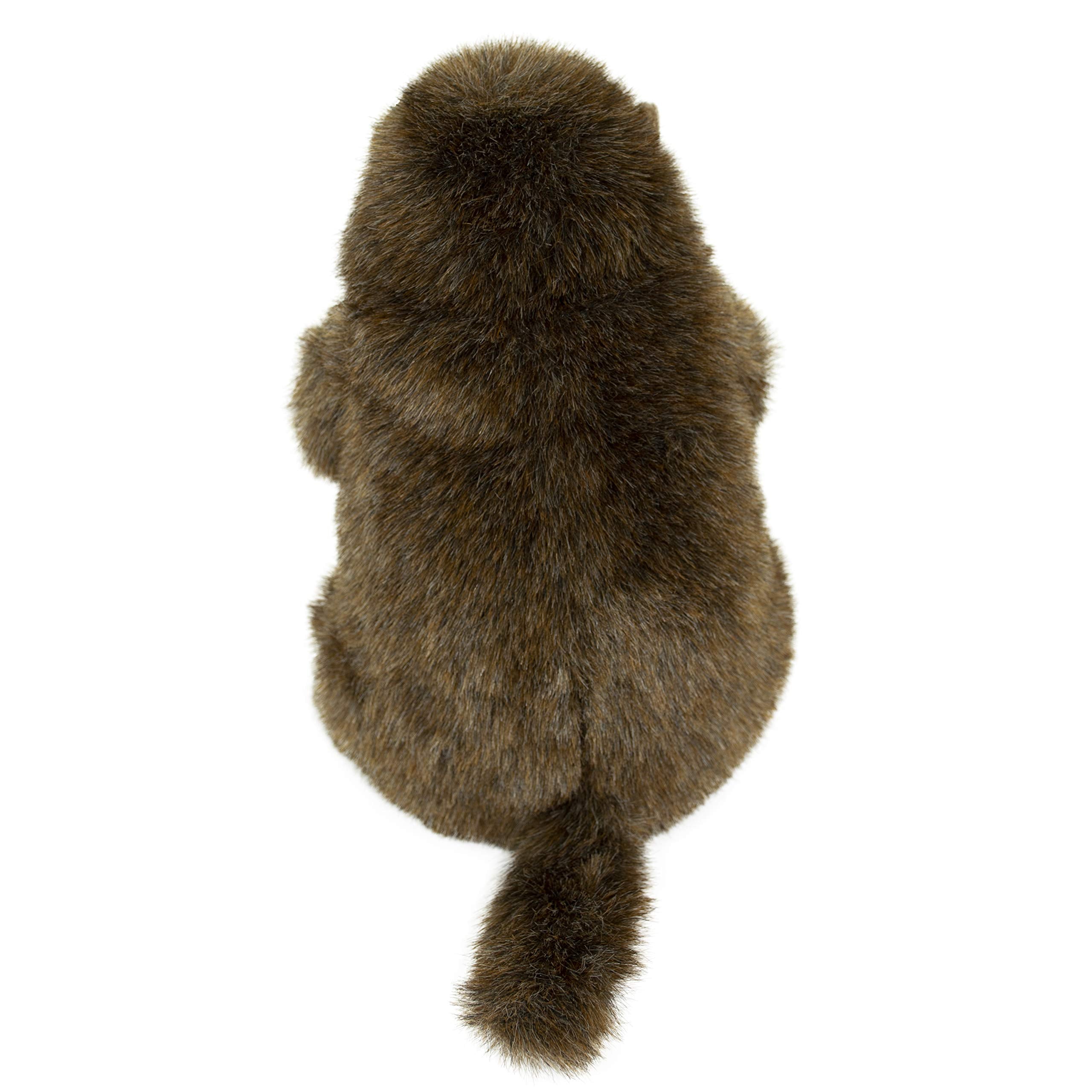 Douglas Chuckwood Groundhog plush surface-washable for easy care after playtime