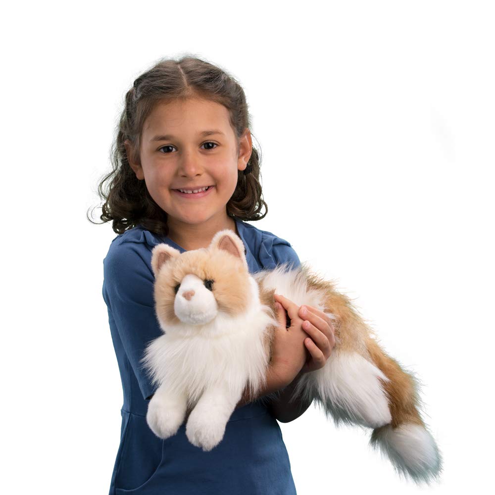 Douglas Kiki ragdoll cat plush close-up of blue eyes for realism