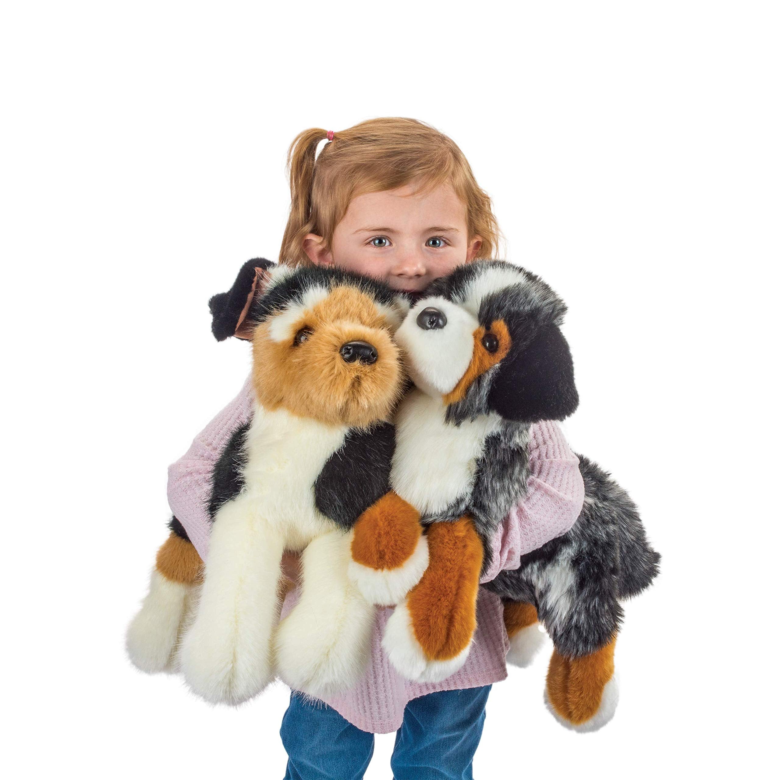 Douglas Maizie merle coat pattern detail highlights lifelike eyes for storytelling and comfort.