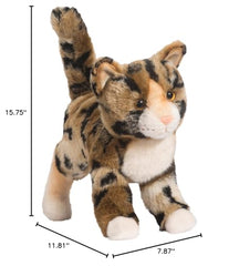 Douglas Tashette Bengal Cat face detail enhances realism for storytelling.
