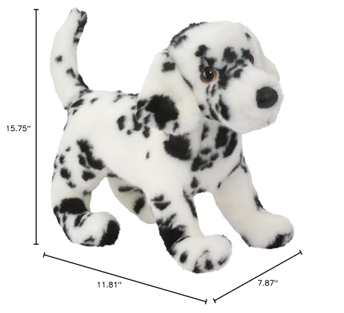 Douglas Winston Dalmatian face with amber eyes invites cuddly moments