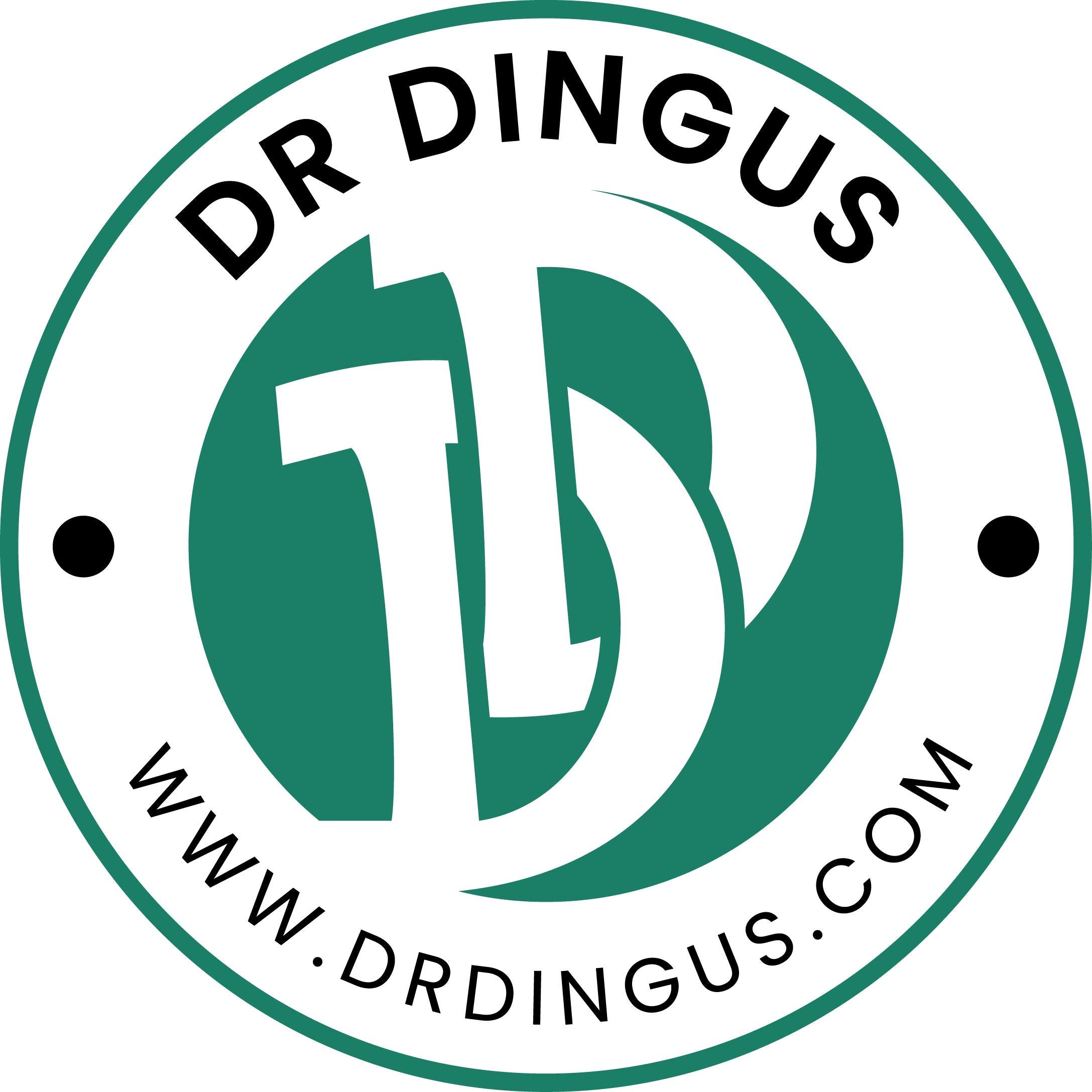 DR DINGUS durable rubber material supports long-lasting playful use