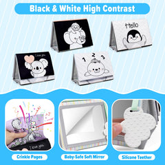 Montessori-inspired high-contrast visuals in Dr.Rapeti book support early tracking