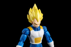 Dragon Stars Vegeta ver2 packaging box for safe storage and display