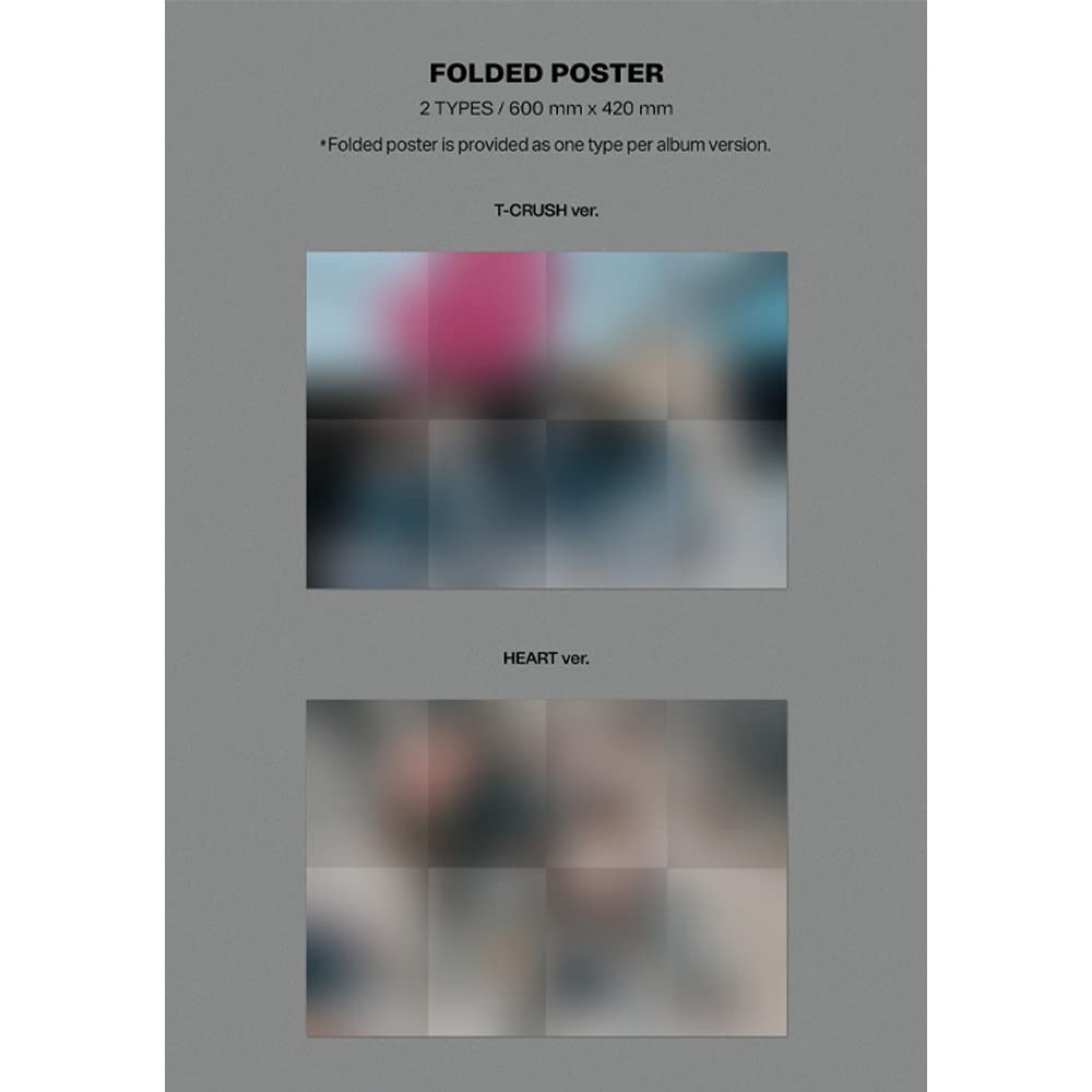 DREAMUS Stray Kids MAXIDENT Standard Edition T-CRUSH Black folded poster completes the collection