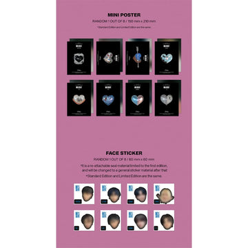 DREAMUS Stray Kids MAXIDENT Standard Edition T-CRUSH Black mini poster brightens shelves