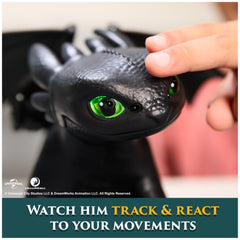 DreamWorks Toothless in keep-away and follow-me style interactive games