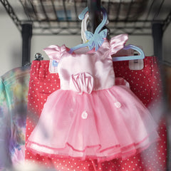 Dress Along Dolly organizer hanger for dresses and accessories