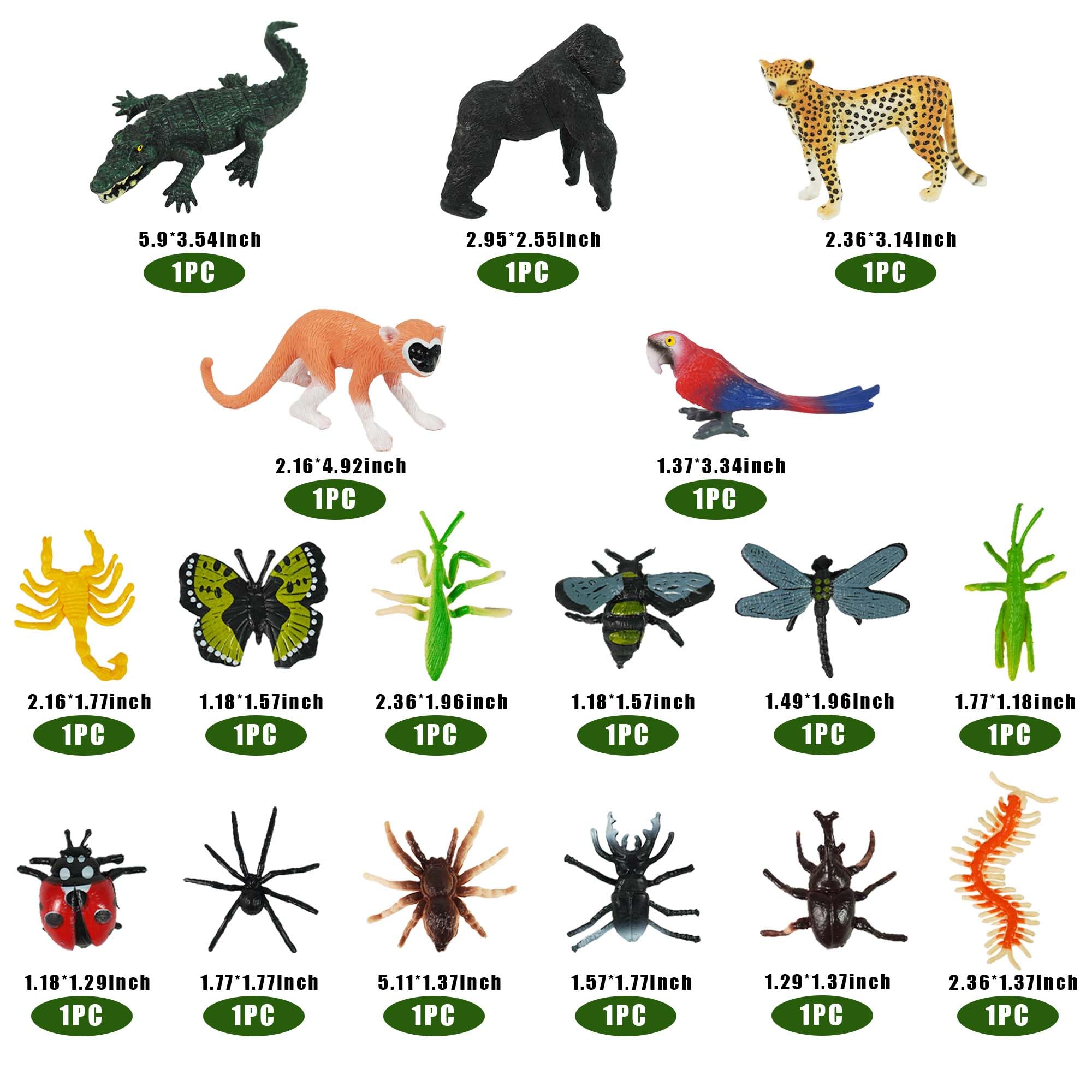 DRWATE rainforest insects figures add realistic detail to dioramas and displays.