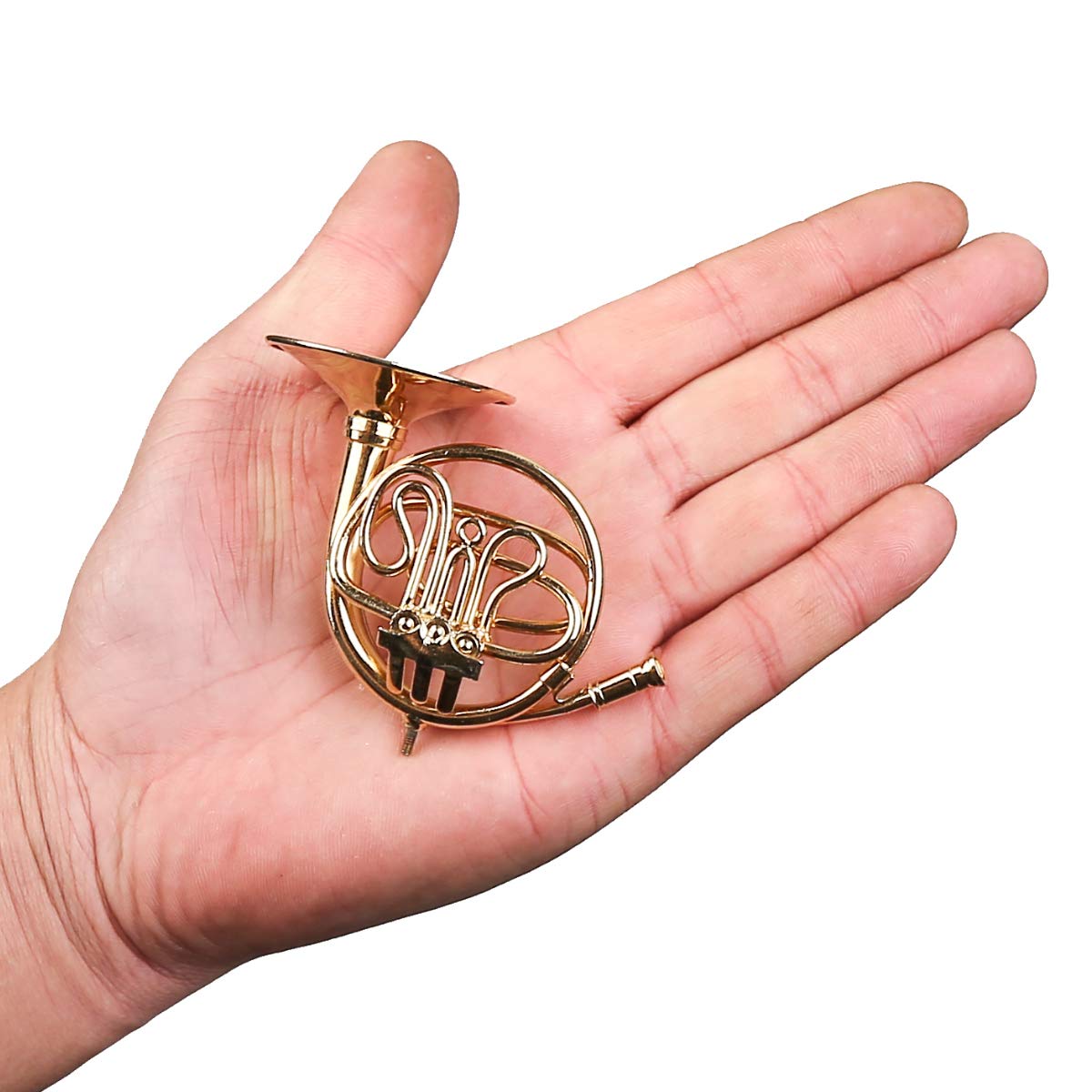Dselvgvu miniature brass french horn with velvet case for safe storage.
