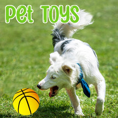 Dshengoo colorful mini basketballs for beach, pool, or backyard fun