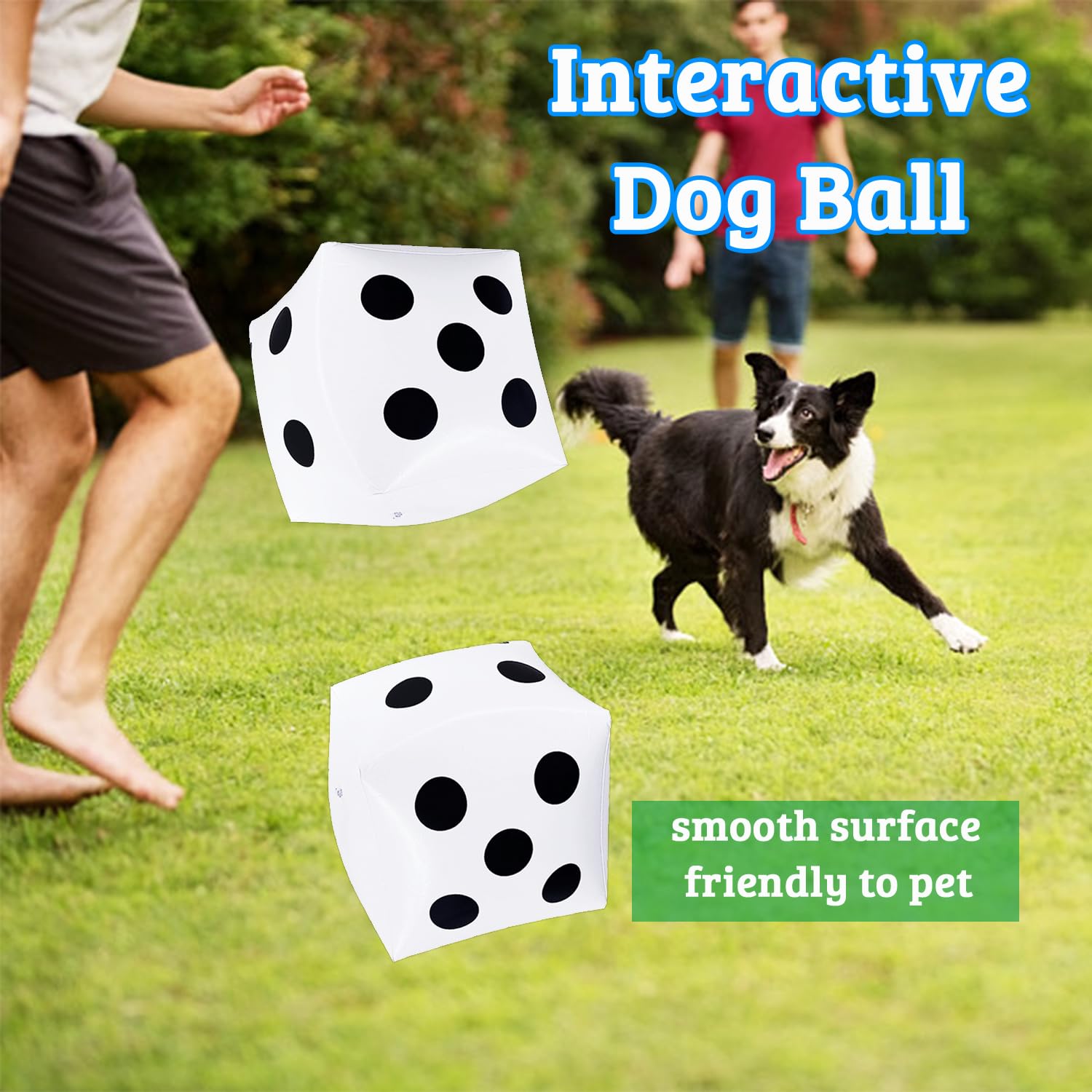 Dshengoo pool and beach games dice for fun in sunshine