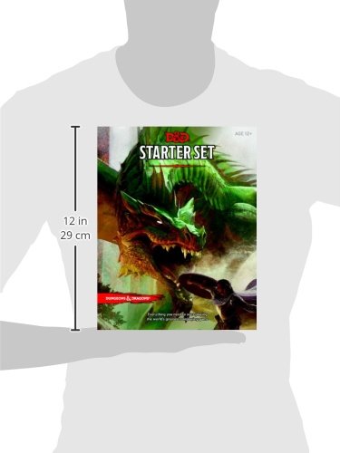 Dungeons & Dragons Starter Set map and miniatures ready for collaborative storytelling.