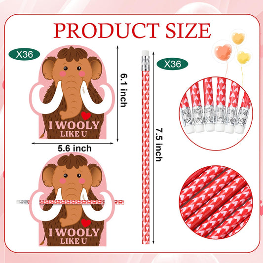 Dunzoom Valentine pencil with heart design for gifting and writing