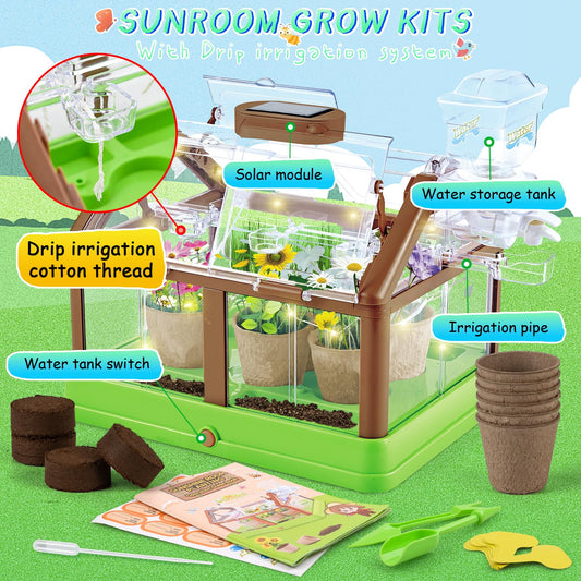 DUYOYU Kids greenhouse inside view highlights compact growth space for home learning