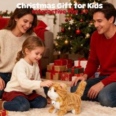 Easfan Walking Plush Kitty gift packaging appeals as a thoughtful present.