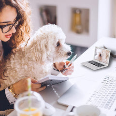 ebuddy toy doubles as a pet desk accessory and mirror