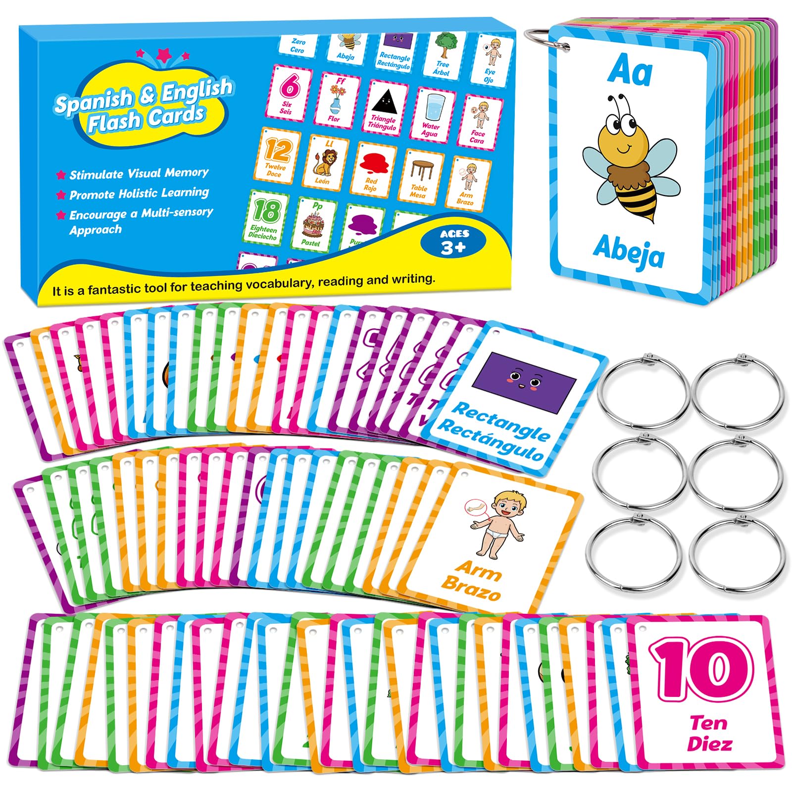 Edulok bilingual flash cards letters image spotlights early literacy and bilingual word recognition for kids.