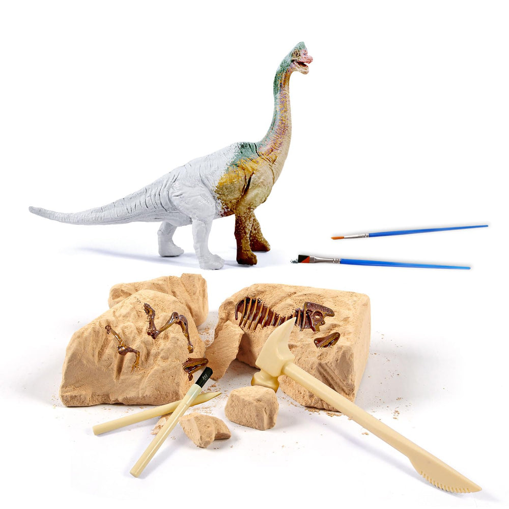 Eggbox Brachiosaurus digs tools aid precise digging and easy cleanup.